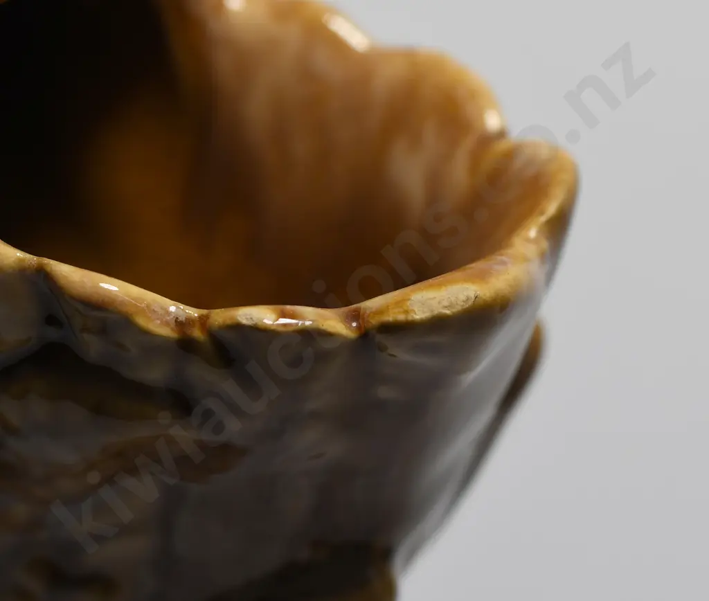 CROWN LYNN KIWI Image 1++