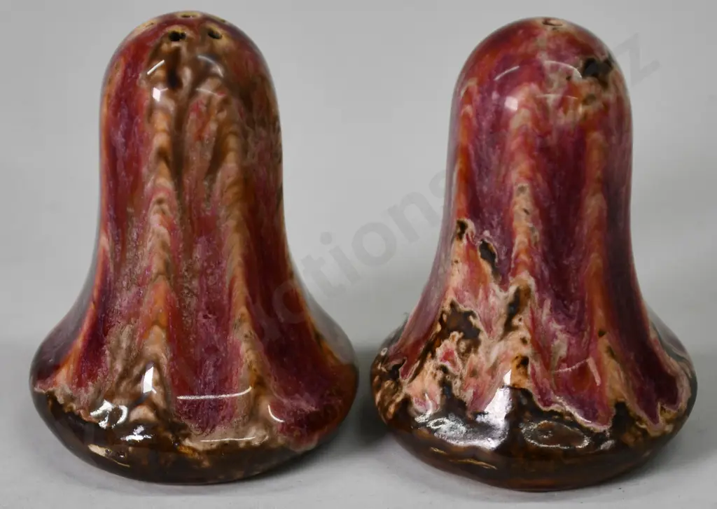 CROWN LYNN SALT/PEPPER Image 1++