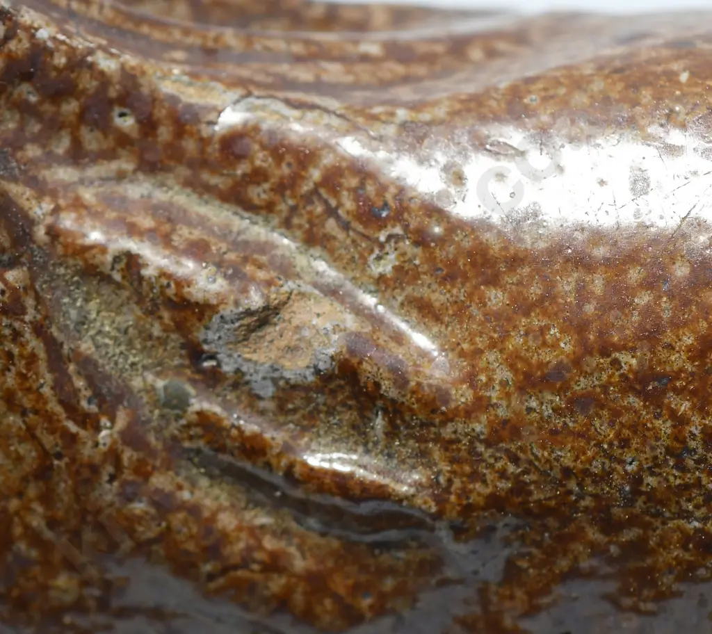 EARLY SALT GLAZED LION Image 1++