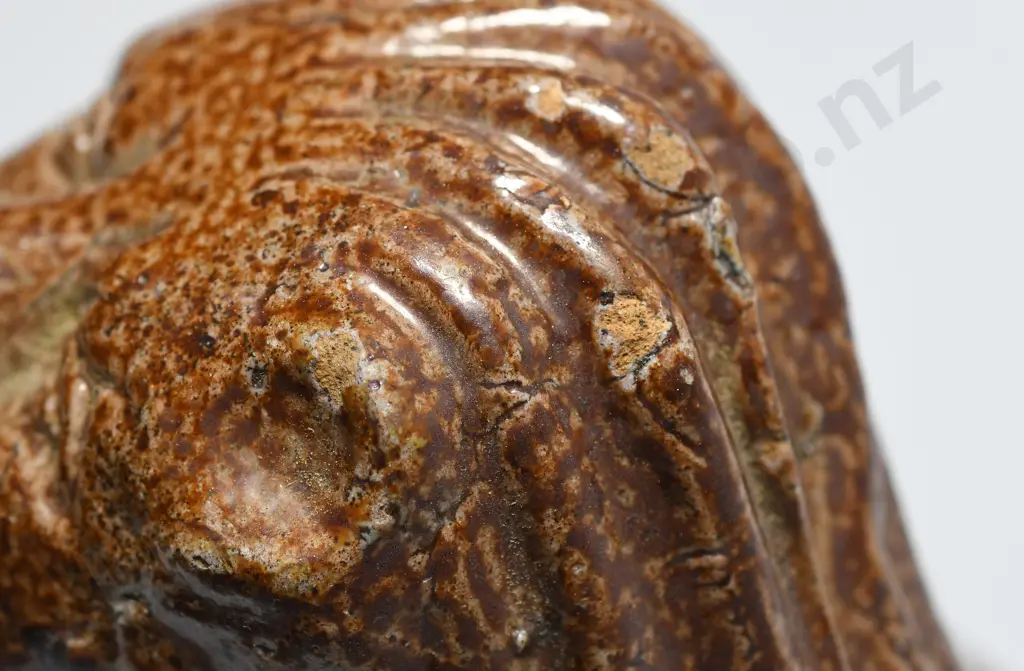 EARLY SALT GLAZED LION Image 1++