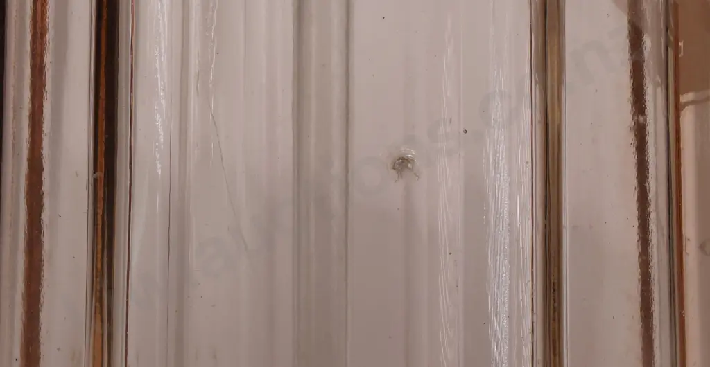 ALVA APRICOT SYPHON Image 1++