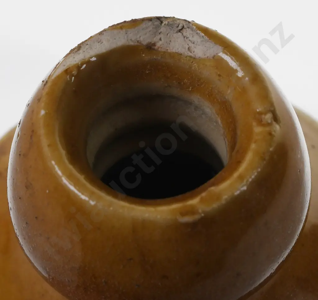 WILSHIRE & SCOTT CHRISTCHURCH GINGER BEER Image 1++