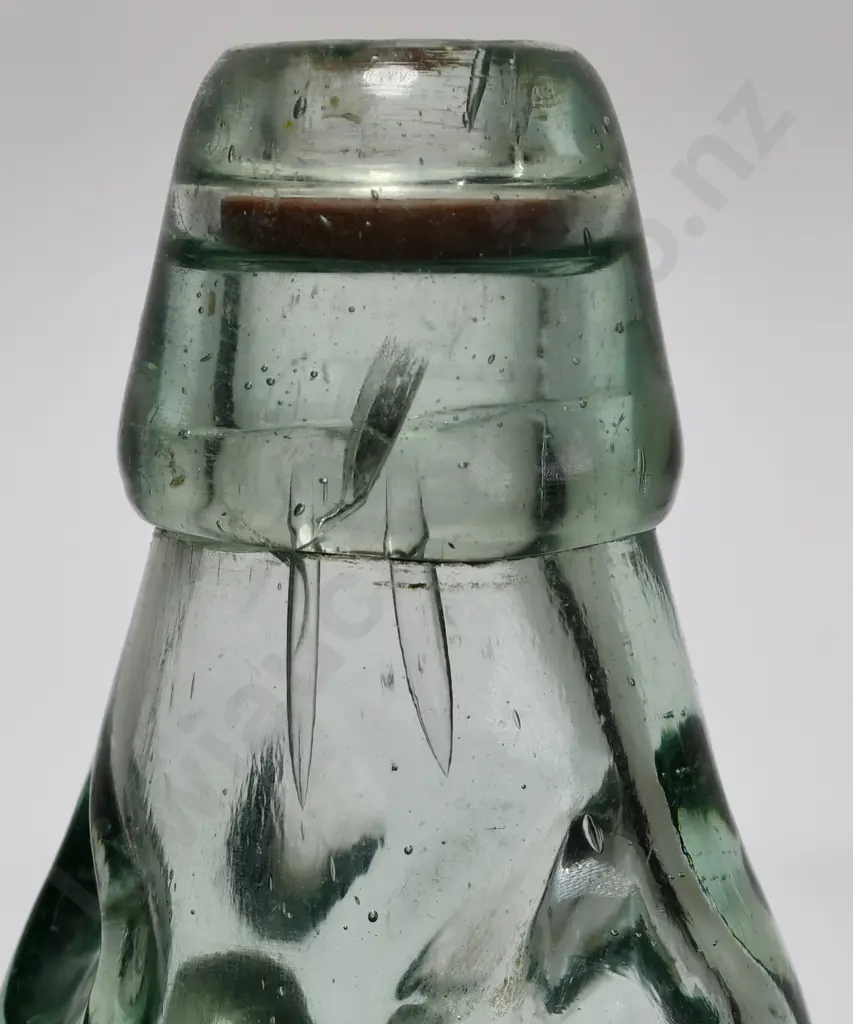 QUILTER MATURA CODD Image 1++