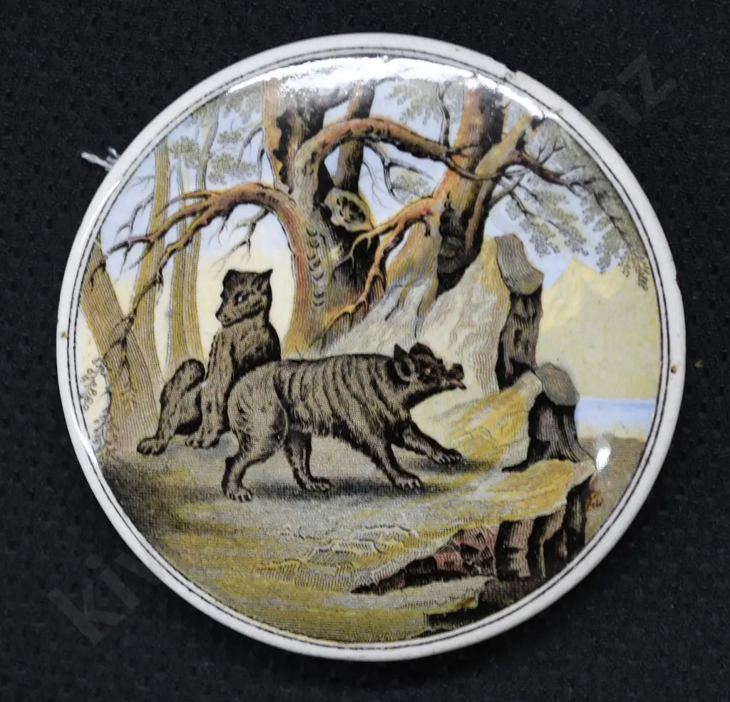 PRATT LID BEARS ON ROCKS Image 1++