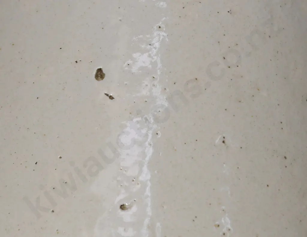 MOFFETT BLUFF & INVERCARGILL STONE JAR Image 1++