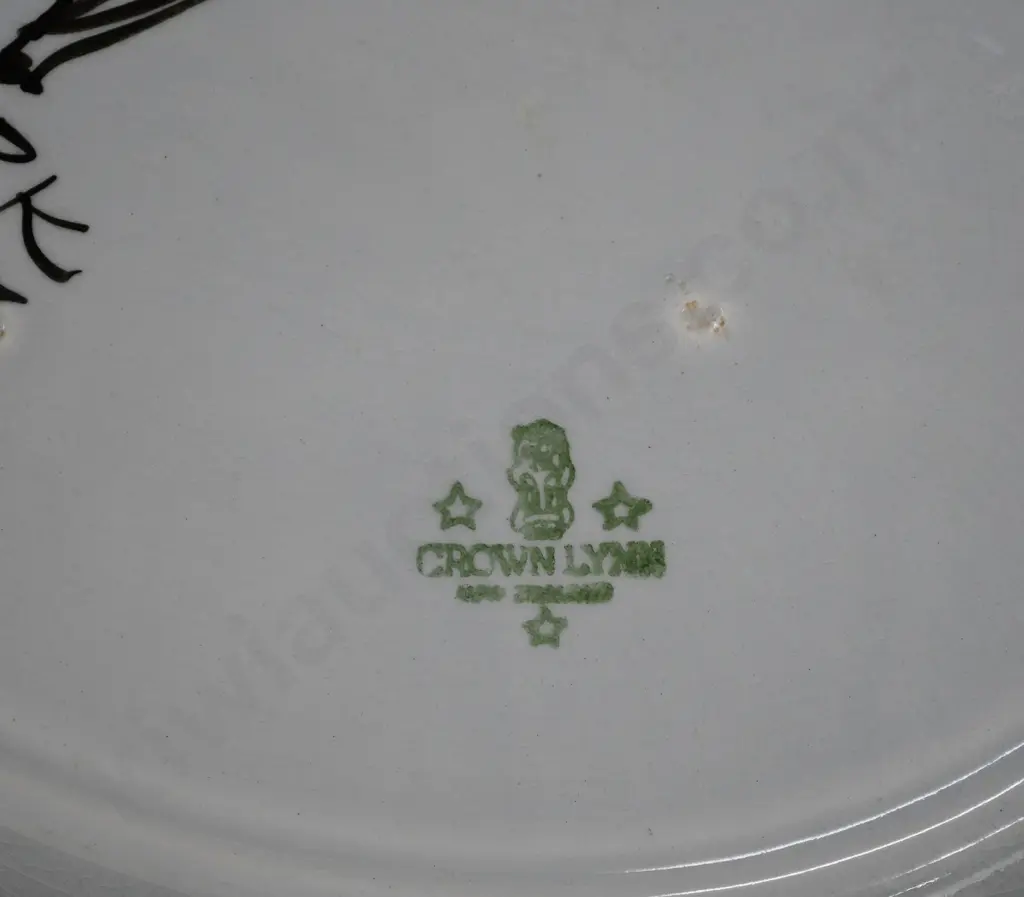 FRANK CARPAY CROWN LYNN PLATTER Image 1++