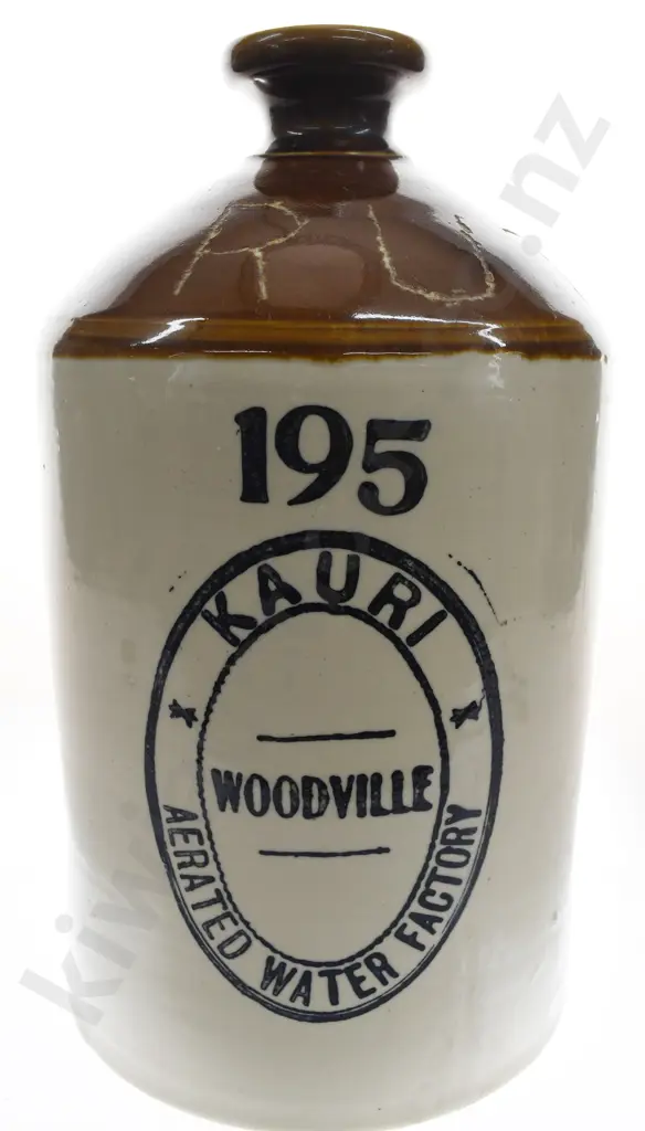 KAURI WOODVILLE STONE JAR Image 1++