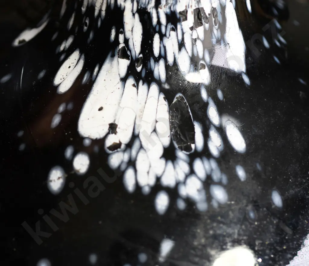 ARCH MENZIES ALLOA GLASS MAGNUM Image 1++