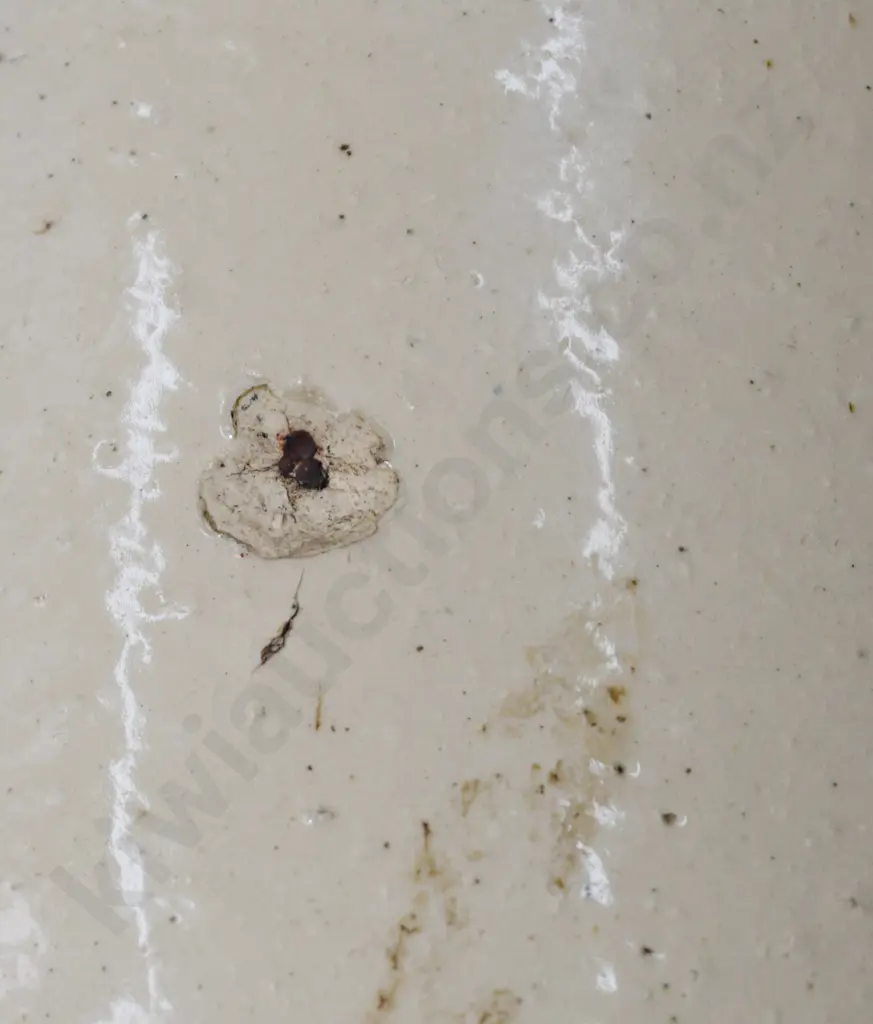 DODSON NELSON 2 GAL STONE JAR Image 1++