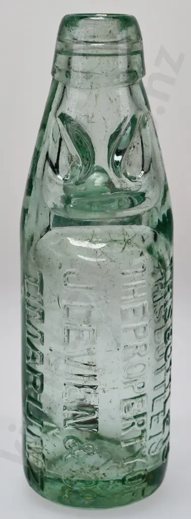 LEVIEN TIMARU CODD Image 1++