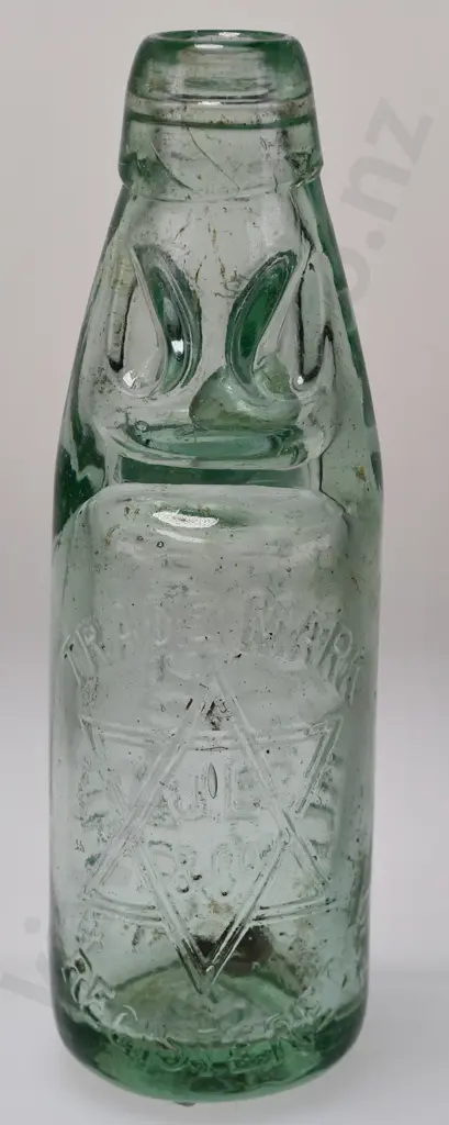 LEVIEN TIMARU CODD Image 1++