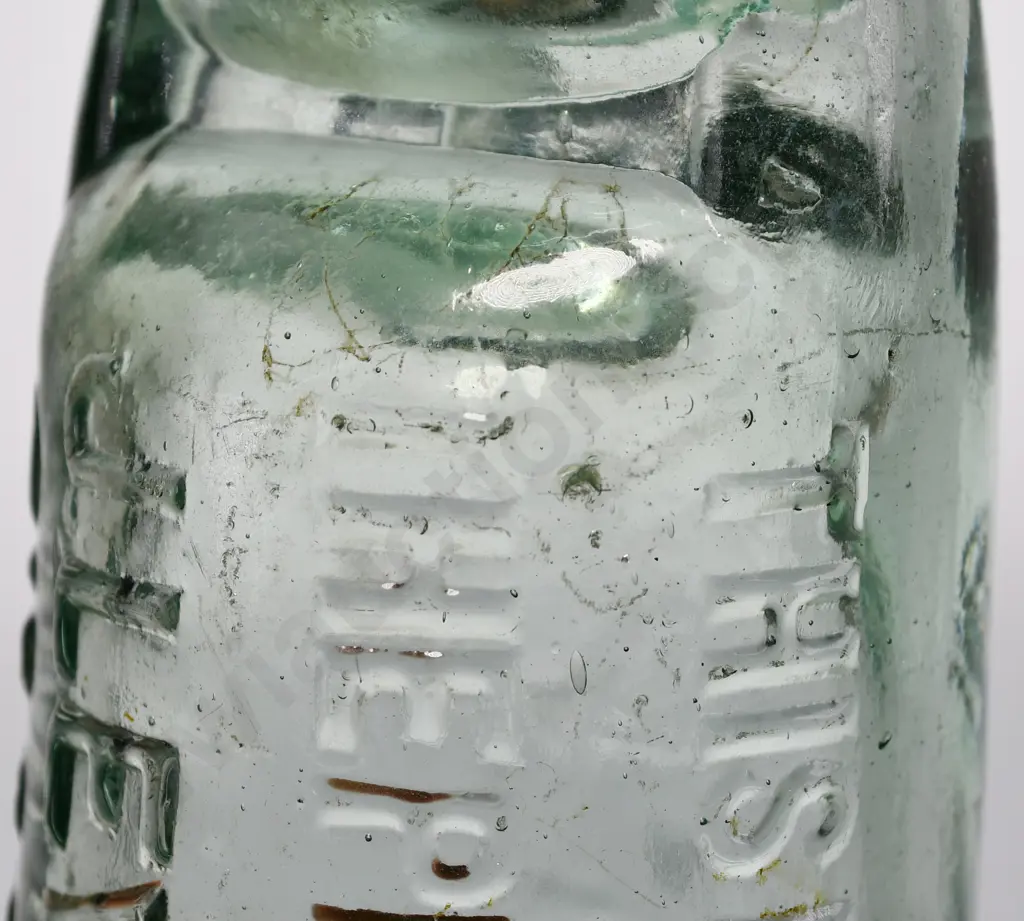 LEVIEN TIMARU CODD Image 1++