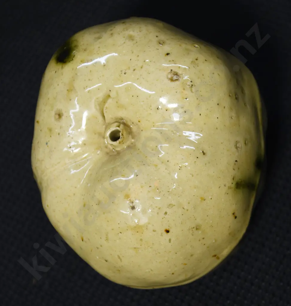 LUKE ADAMS APPLE MONEY BOX Image 1++