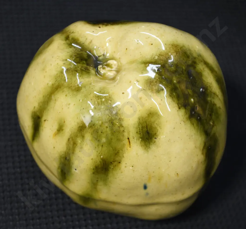 LUKE ADAMS APPLE MONEY BOX Image 1++