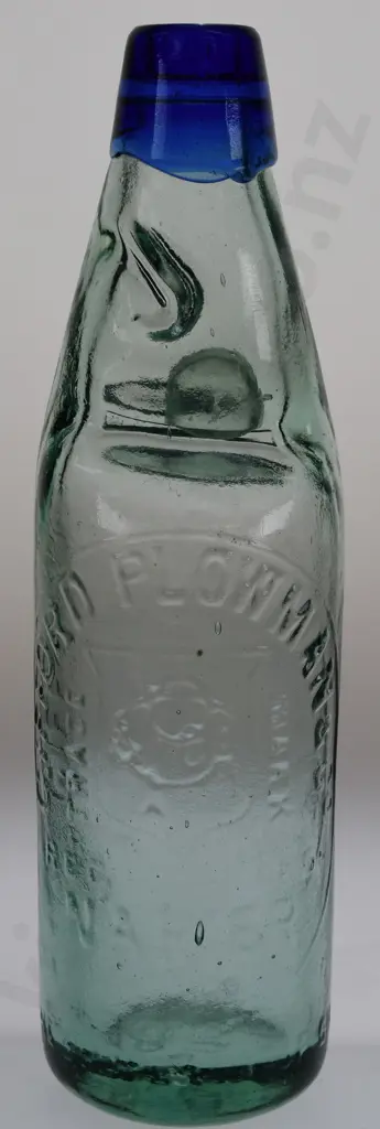 GIFFORD PLOWMAN NAPIER BLUE LIP CODD Image 1++