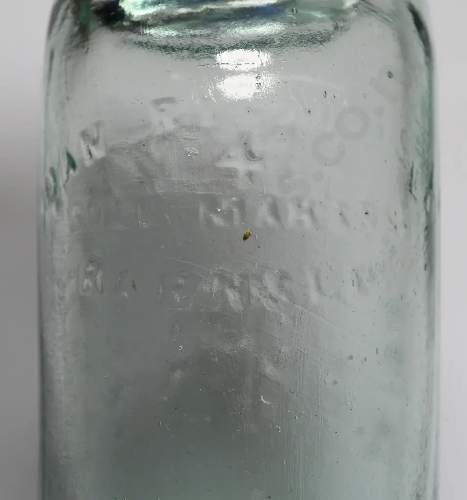 GIFFORD PLOWMAN NAPIER BLUE LIP CODD Image 1++