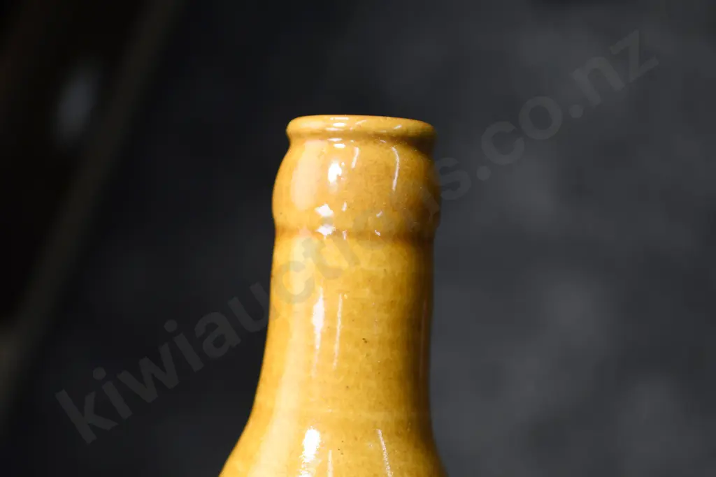 PIKE & WATERS NEW PLYMOUTH GINGER BEER Image 1++