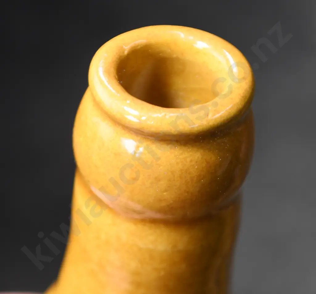 PIKE & WATERS NEW PLYMOUTH GINGER BEER Image 1++