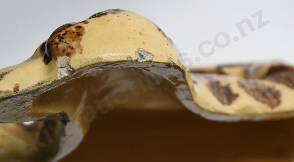 LUKE ADAMS MAJOLICA MANTLE DOGS Image 1++