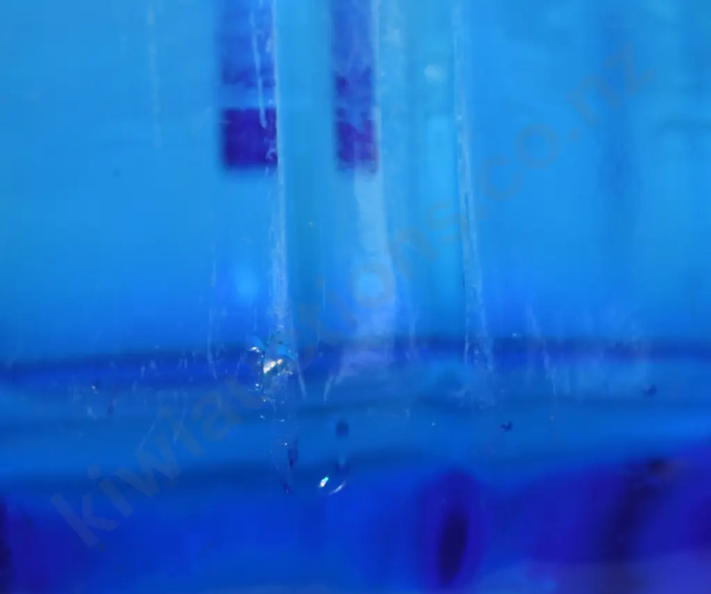 HALL TAURANGA BLUE SODA SYPHON Image 1++