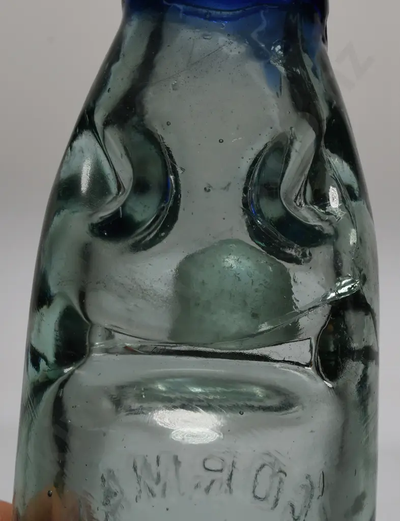 GORMAN NELSON BLUE LIP CODD Image 1++