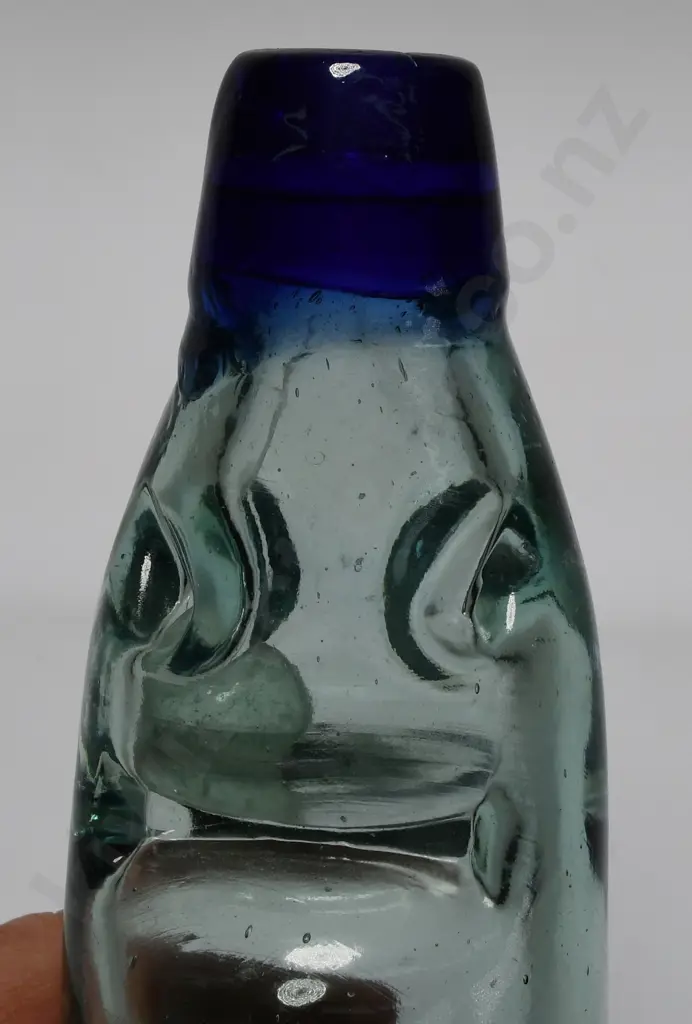 GORMAN NELSON BLUE LIP CODD Image 1++