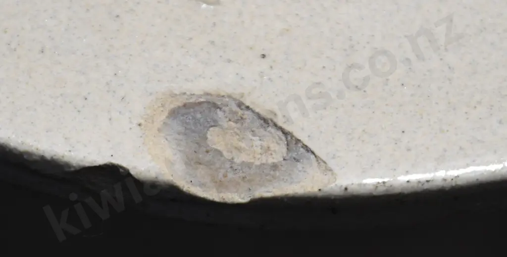 BROWNLOW LEADLESS WATER FILTER Image 1++