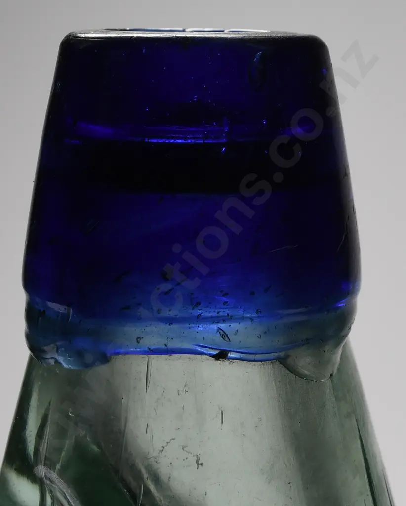 GIFFORD PLOWMAN NAPIER BLUE LIP CODD Image 1++