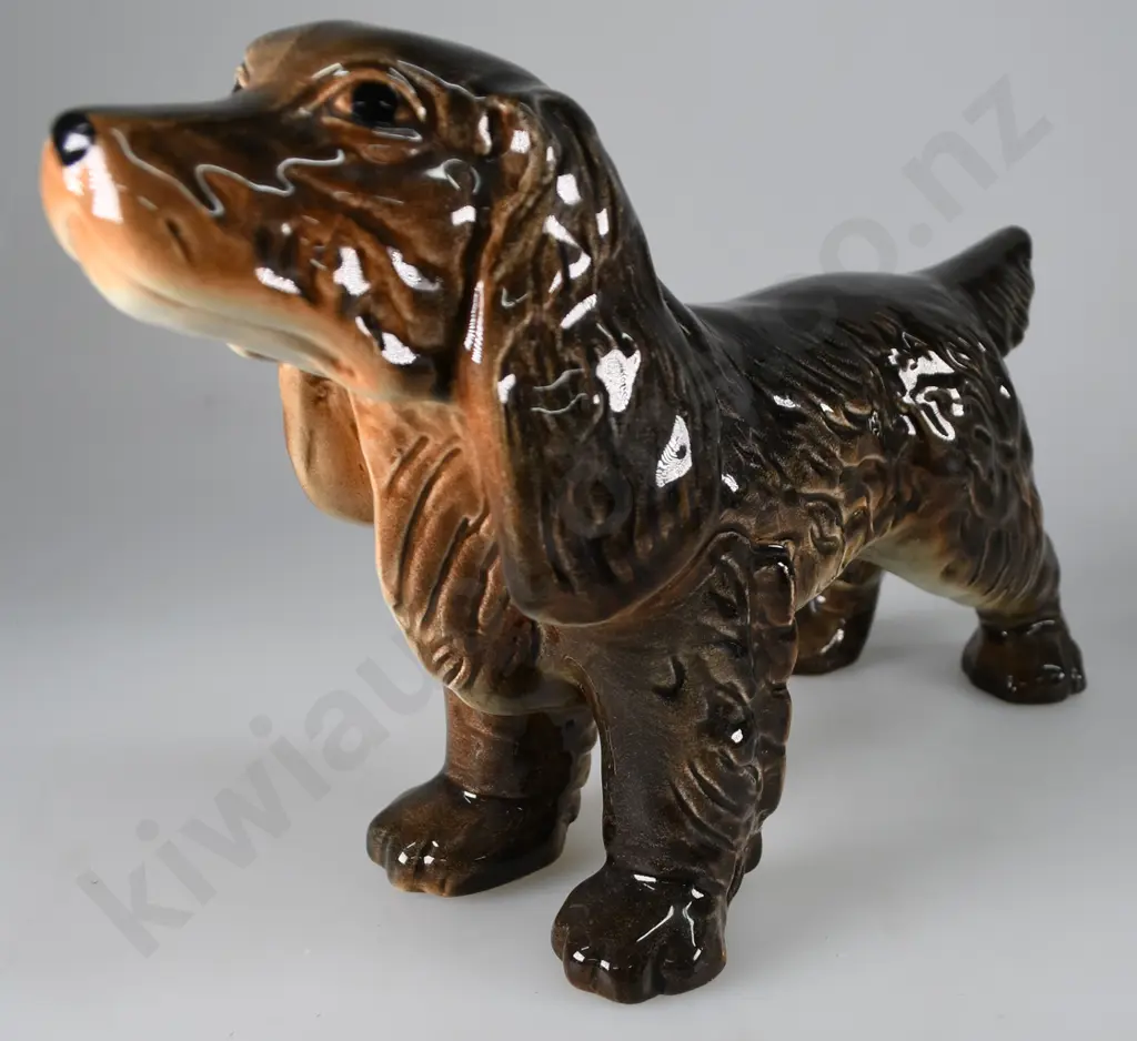 CROWN LYNN SPANIEL Image 1++