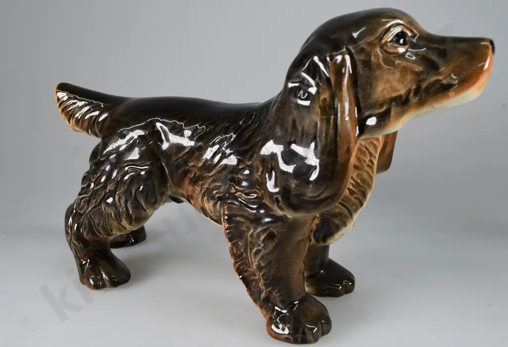 CROWN LYNN SPANIEL Image 1++