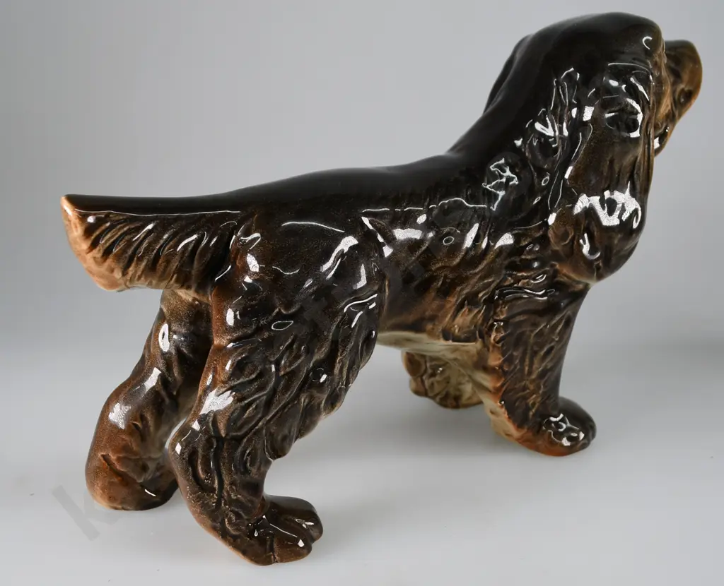 CROWN LYNN SPANIEL Image 1++