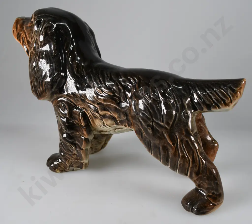 CROWN LYNN SPANIEL Image 1++