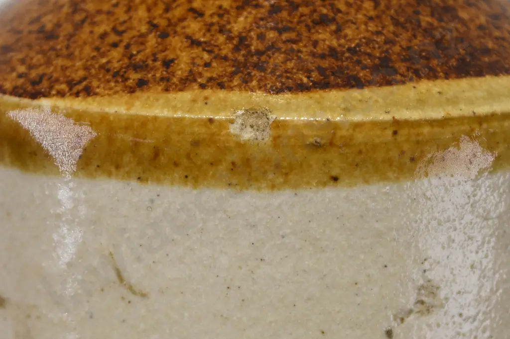 SWAN'S WANGANUI GINGER BEER Image 1++