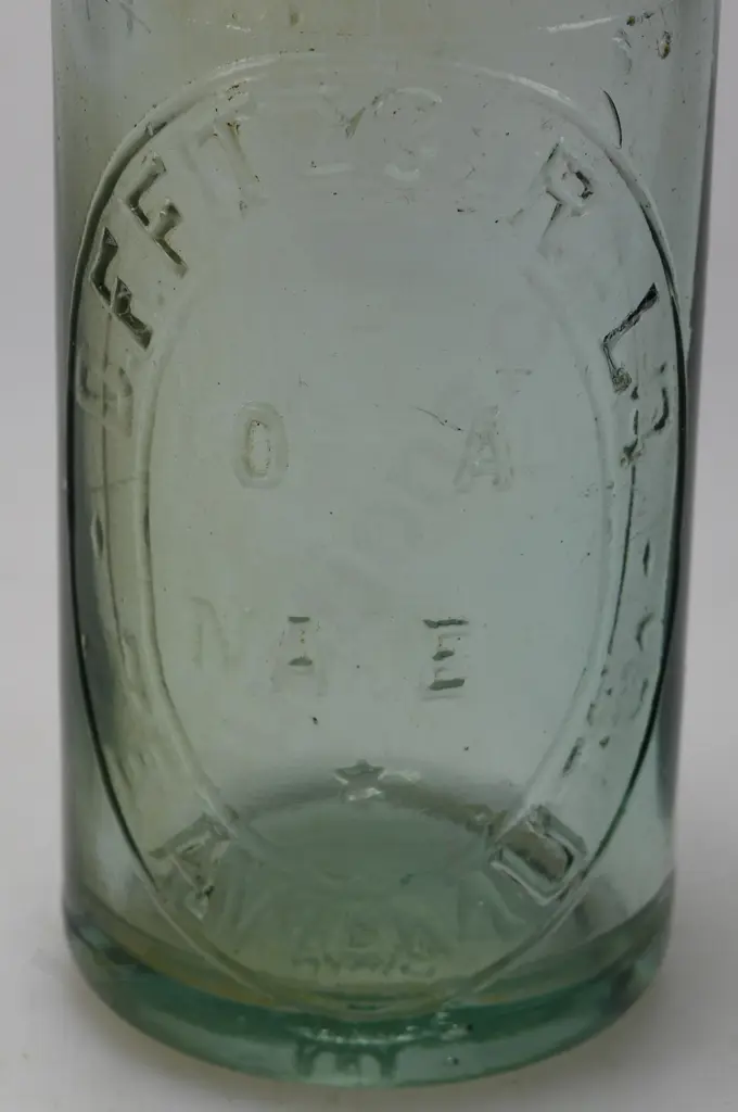 FITZGERALD TE AWAMUTU CROWN TOP Image 1++