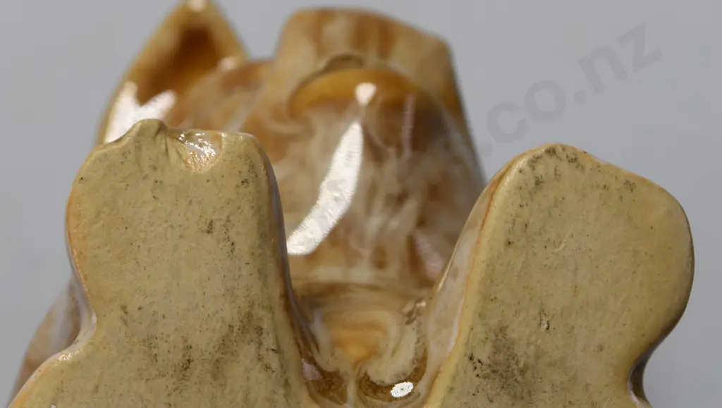 CROWN LYNN / AMBRICO SPECKLED GLAZED PIG Image 1++