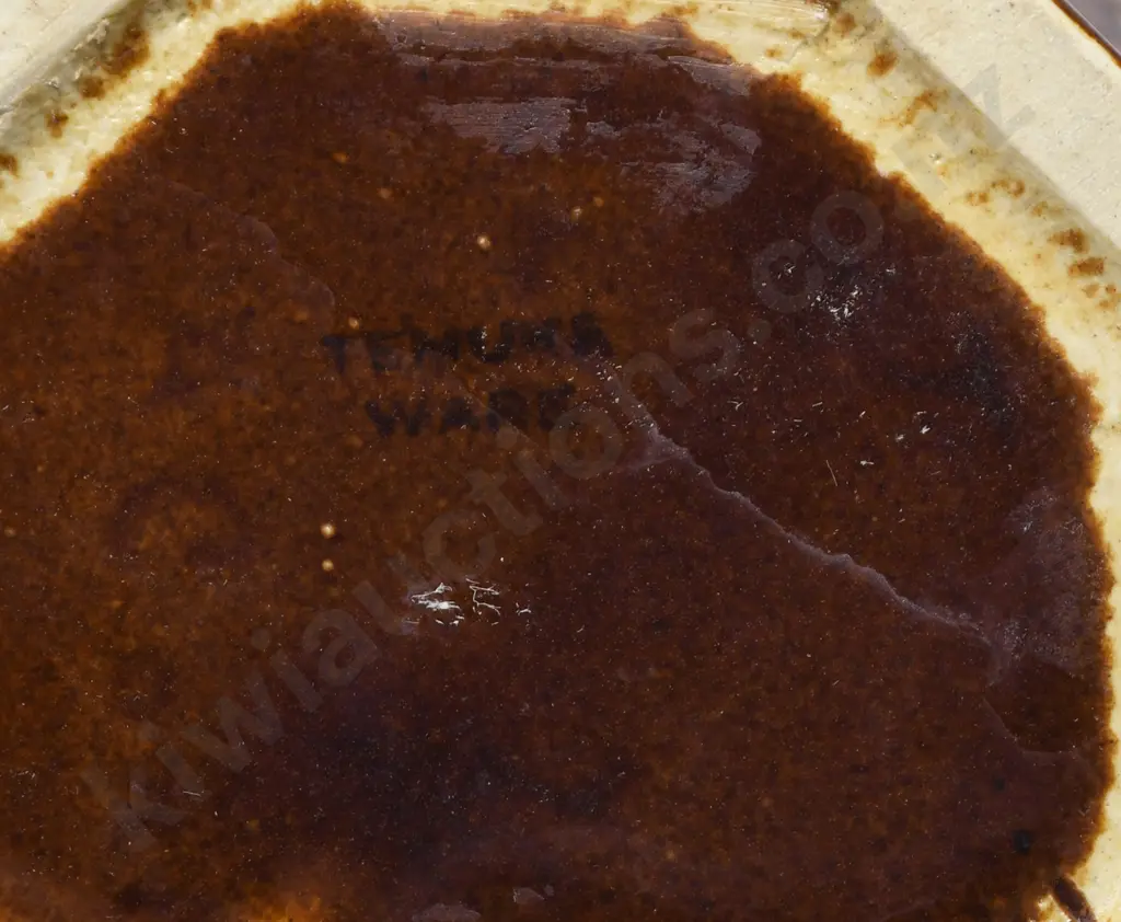 TEMUKA WARE ELECTRIC JUGS  Image 1++