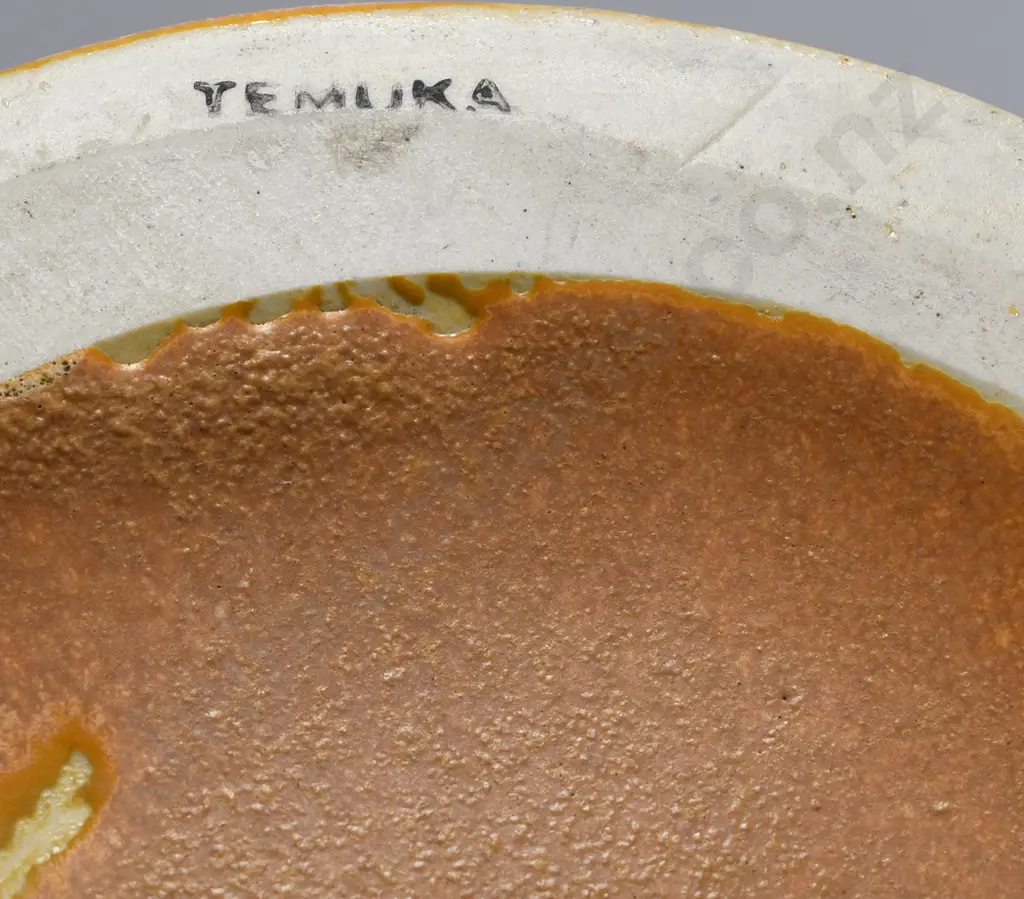 TEMUKA GRECIAN STYLE 2 HANDLED VASE Image 1++