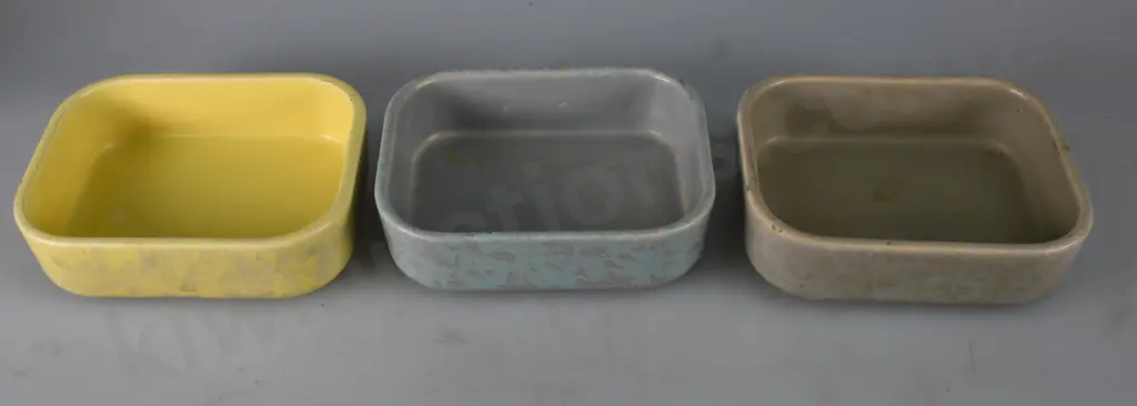 TEMUKA DISHES Image 1++