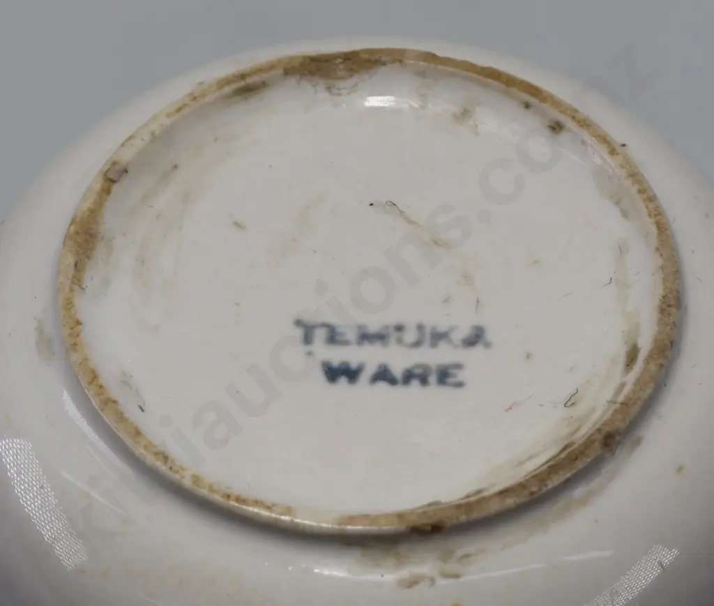 TEMUKA WARE NZR CUP Image 1++