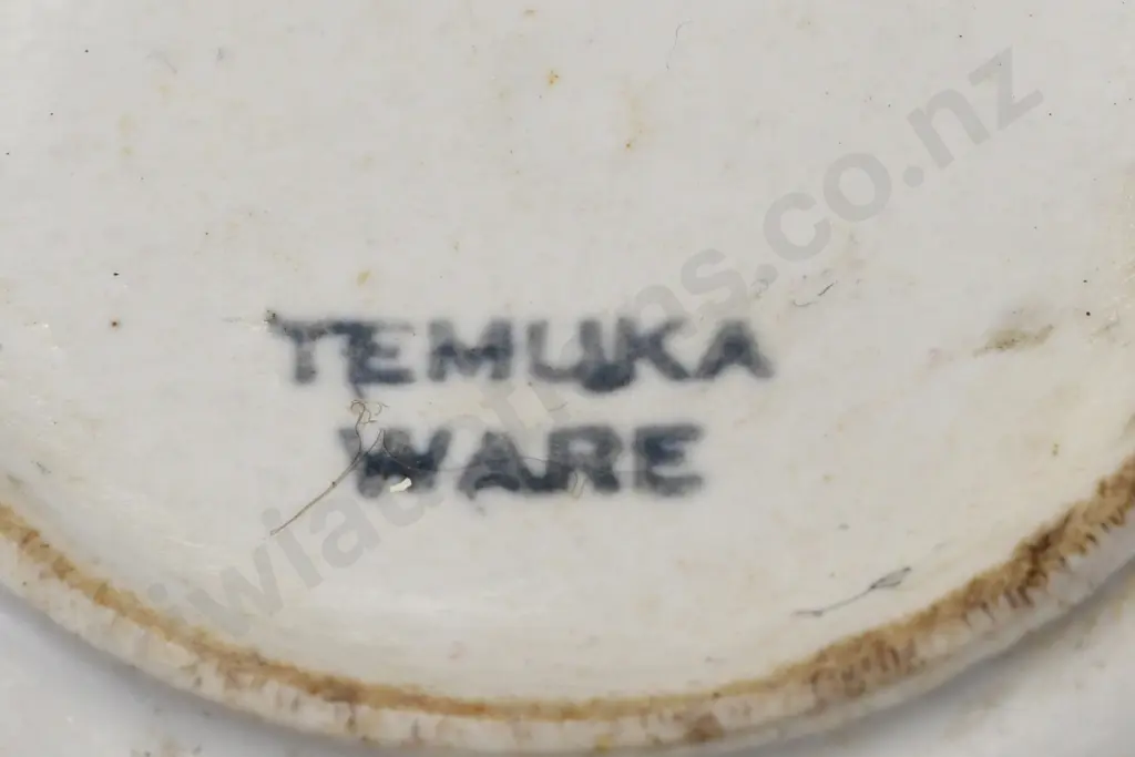 TEMUKA WARE NZR CUP Image 1++