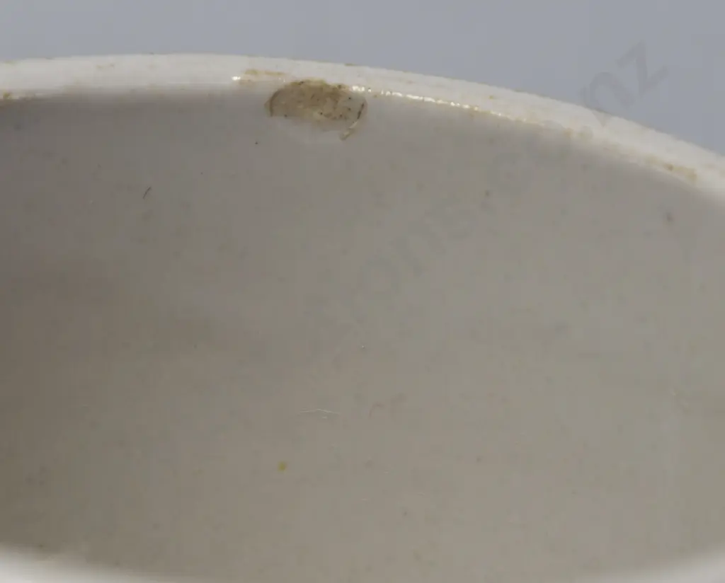 TEMUKA WARE NZR CUP Image 1++