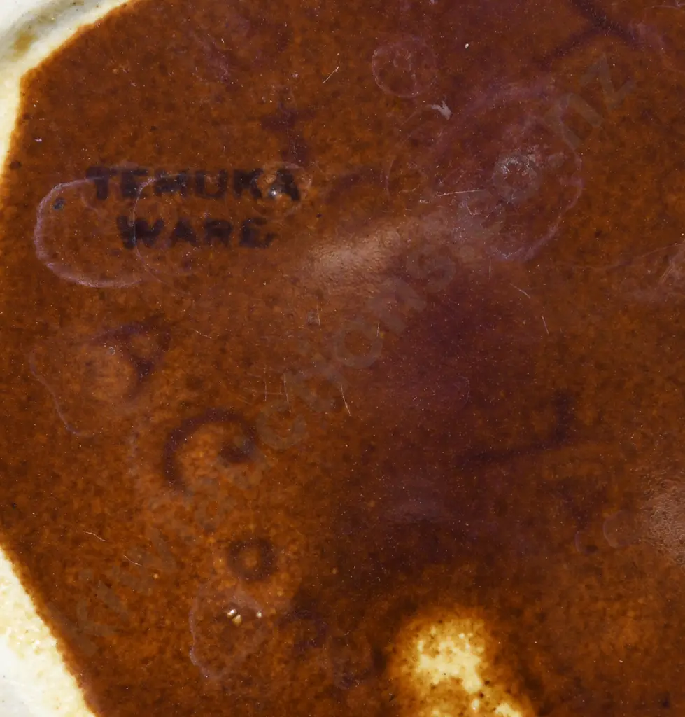 TEMUKA WARE ELECTRIC JUGS Image 1++