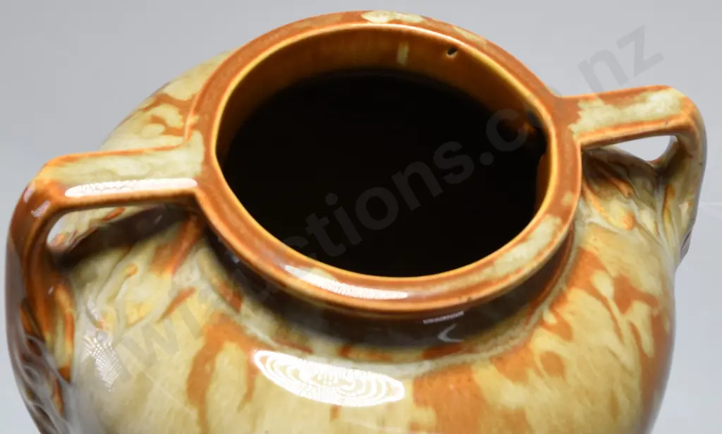 TEMUKA GRECIAN STYLE 2 HANDLED VASE Image 1++