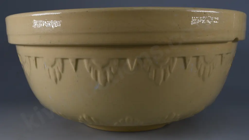 TEMUKA WARE MIXING BOWL LARGE Image 1++