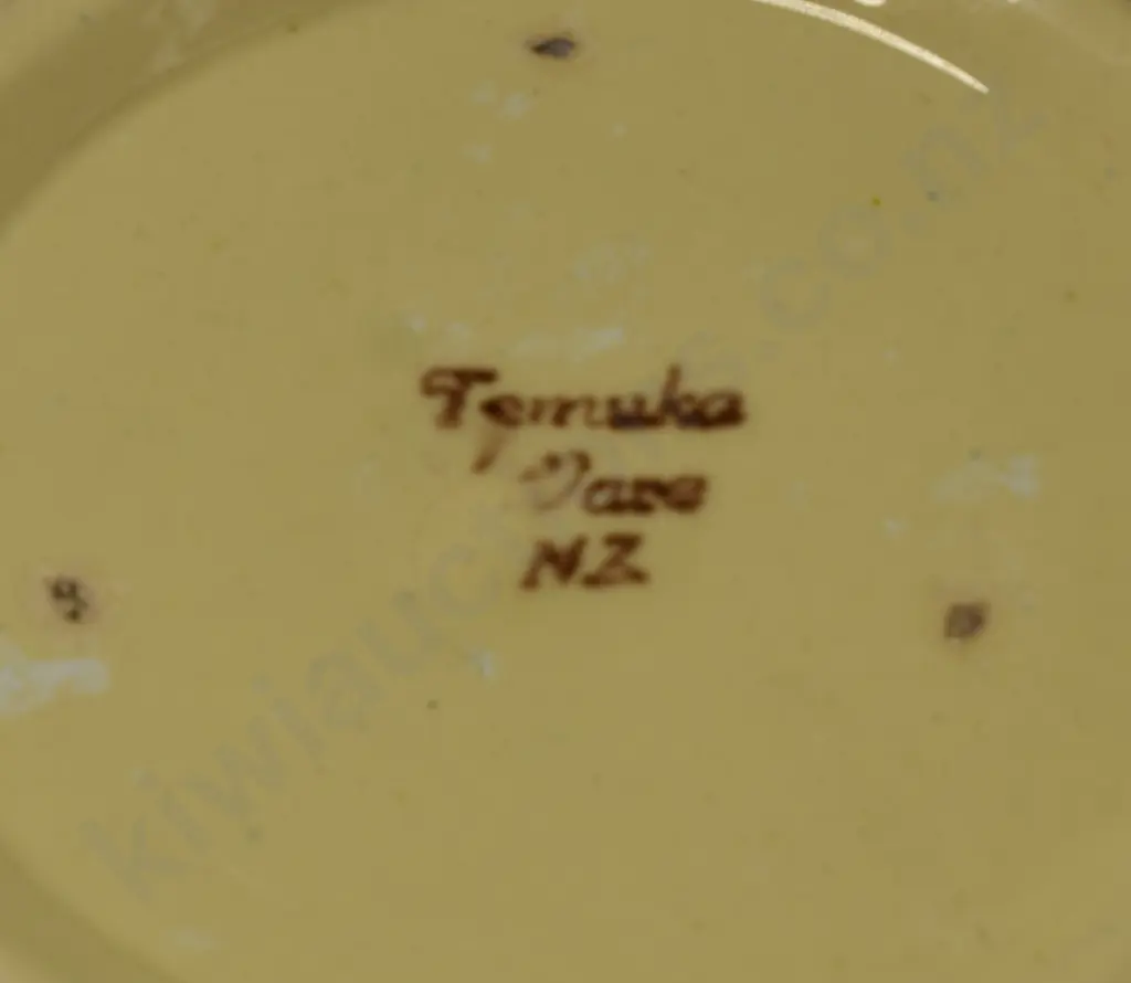 TEMUKA WARE MIXING BOWL LARGE Image 1++