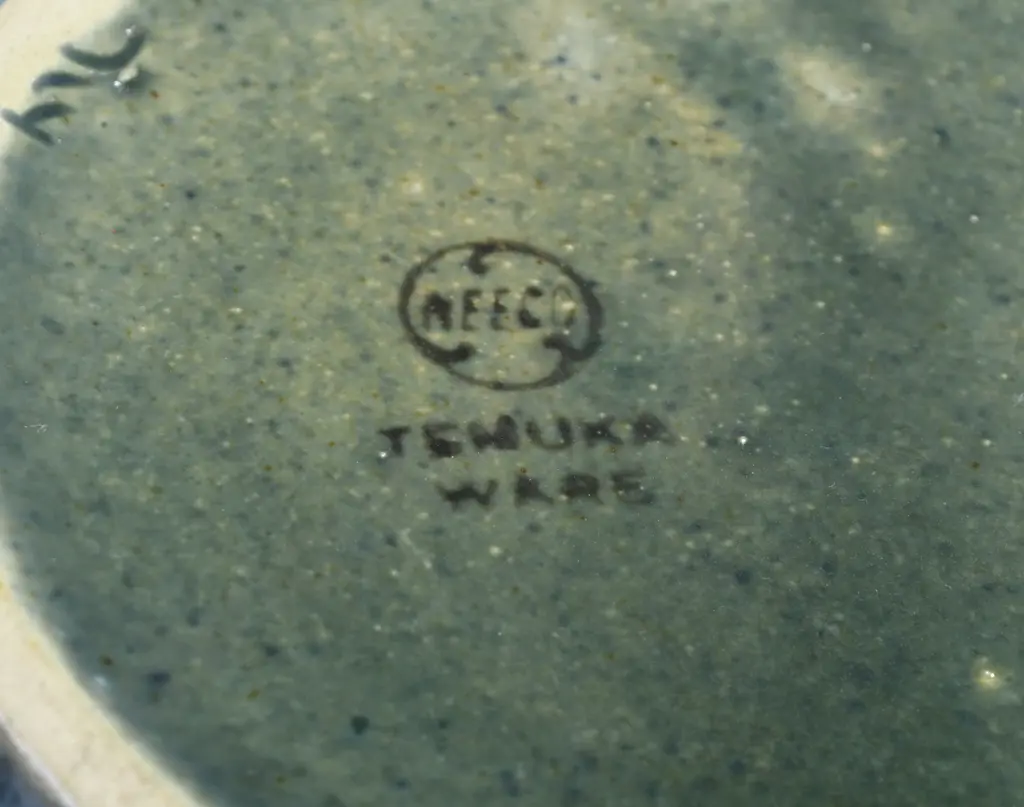 TEMUKA WARE ELECTRIC JUGS Image 1++
