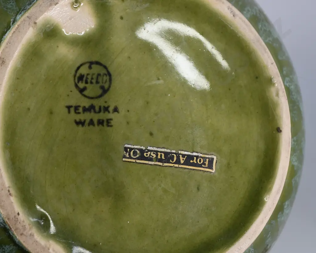 TEMUKA WARE ELECTRIC JUGS Image 1++