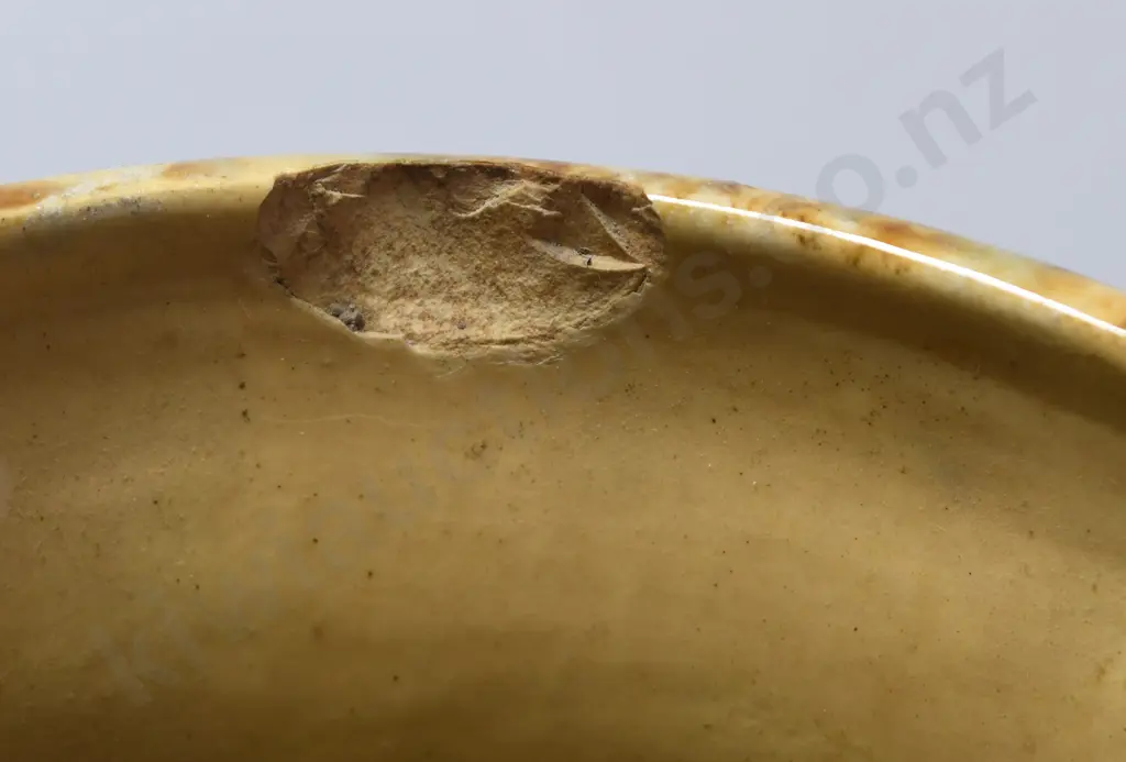 TEMUKA WARE ELECTRIC JUGS Image 1++