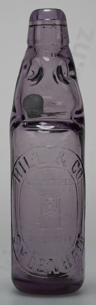 HILL & CO SYDENHAM CODD Image 1++