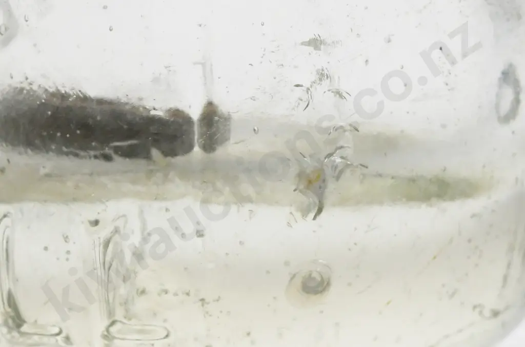 THOMSON INVERCARGILL CODD Image 1++